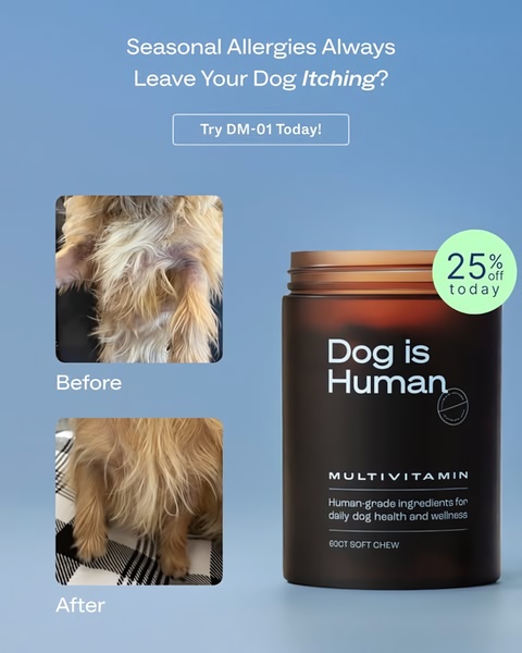 This 4:5 ratio ad features a direct before-and-after visual comparison of a dog's coat to demonstrate product efficacy.